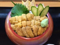 /album/%e3%83%95%e3%82%a9%e3%83%88%e3%82%ae%e3%83%a3%e3%83%a9%e3%83%aa%e3%83%bc/image2-jpg/