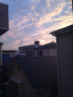 /album/%e3%83%95%e3%82%a9%e3%83%88%e3%82%ae%e3%83%a3%e3%83%a9%e3%83%aa%e3%83%bc/image6-jpg/